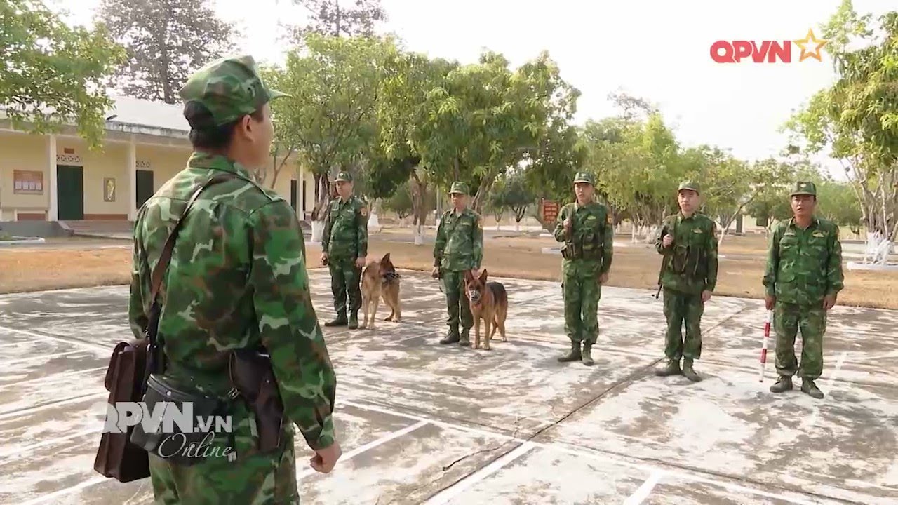 Huấn luyện chó nghiệp vụ tại Cụm Cơ động chó nghiệp vụ 3, Trường Trung cấp 24 Biên phòng