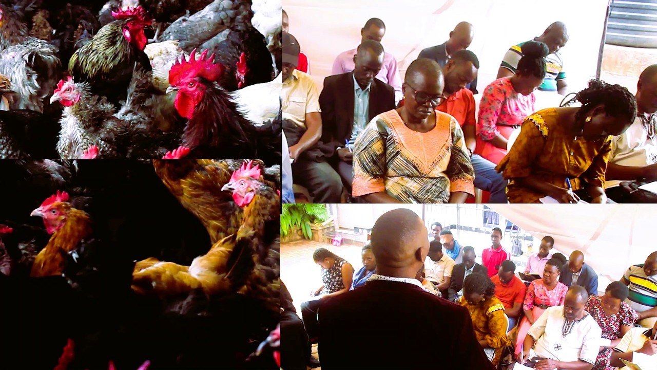 Tolunda Lwa Pressure Lunda Nga Oyagala