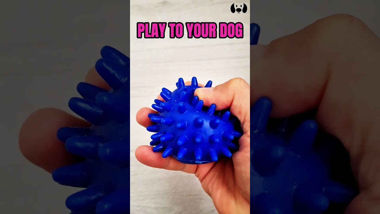 Squeaky toy sounds for dogs  #dogsounds #toys #petsounds