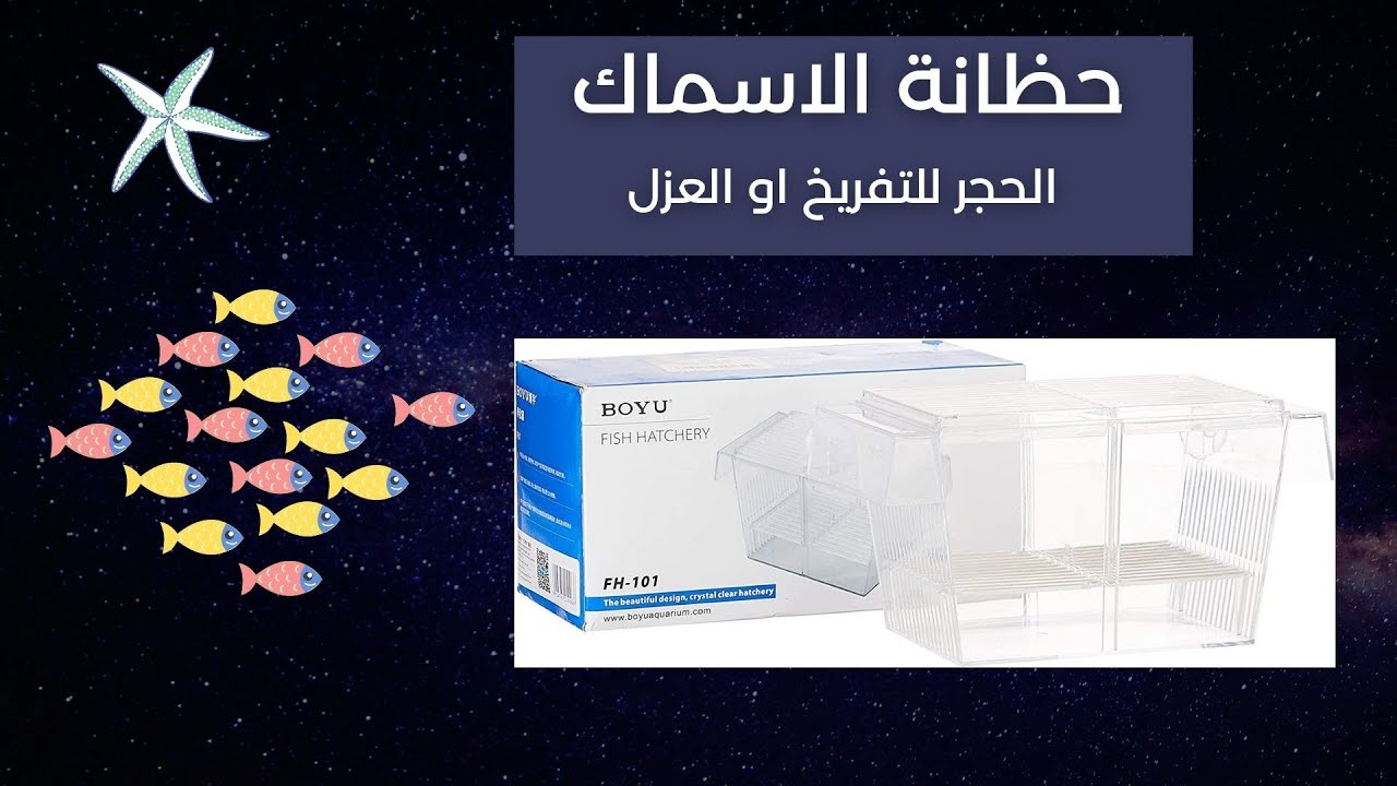 حضانة تفريخ أحواض الأسماك - الحجر الصحي للتربية والتفريخ - حلول الأحواض