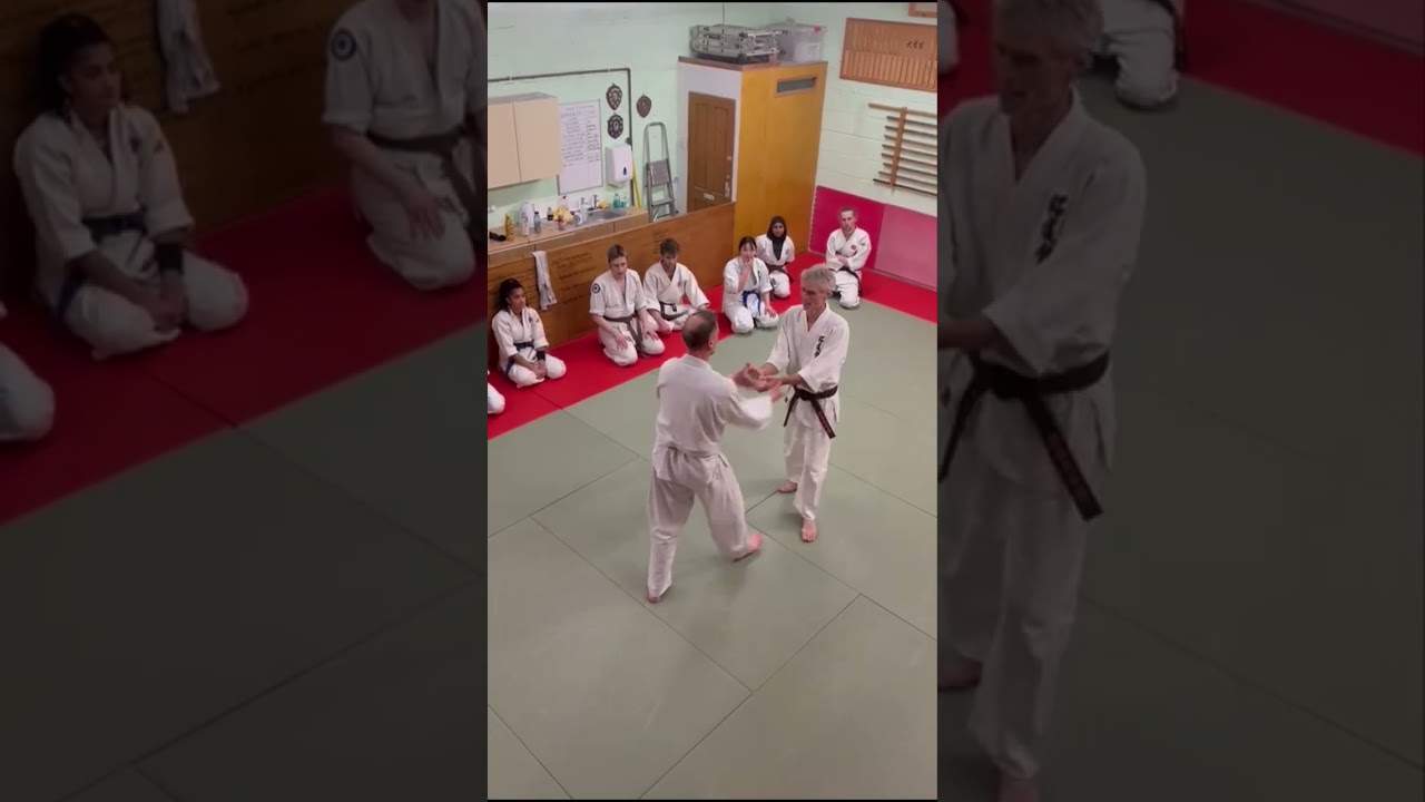 Scott Allbright sensei 7th dan - Sheffield seminar 24.03.2025