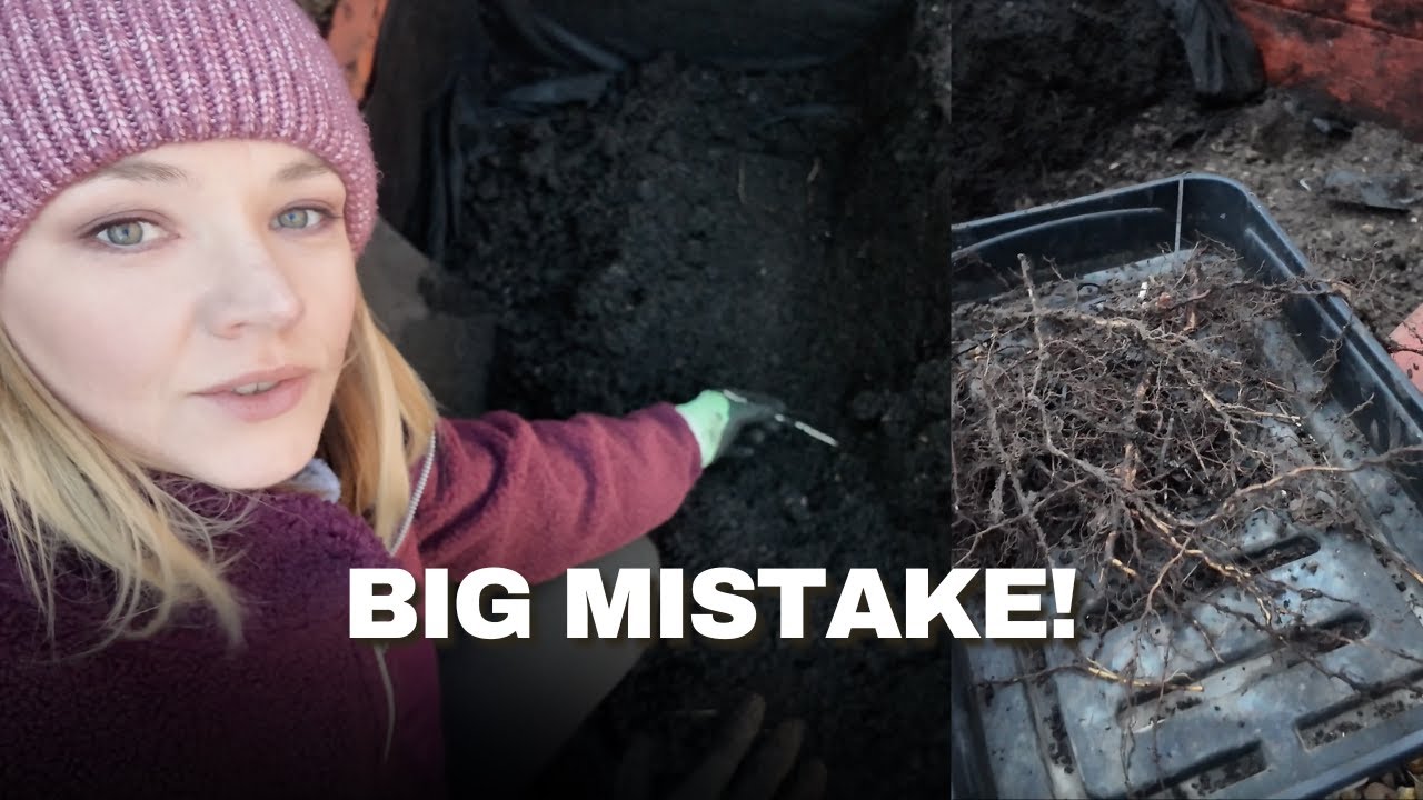 I Regret Planting Raspberries in My Kitchen Garden | Chaos Under My Raised Beds 😳