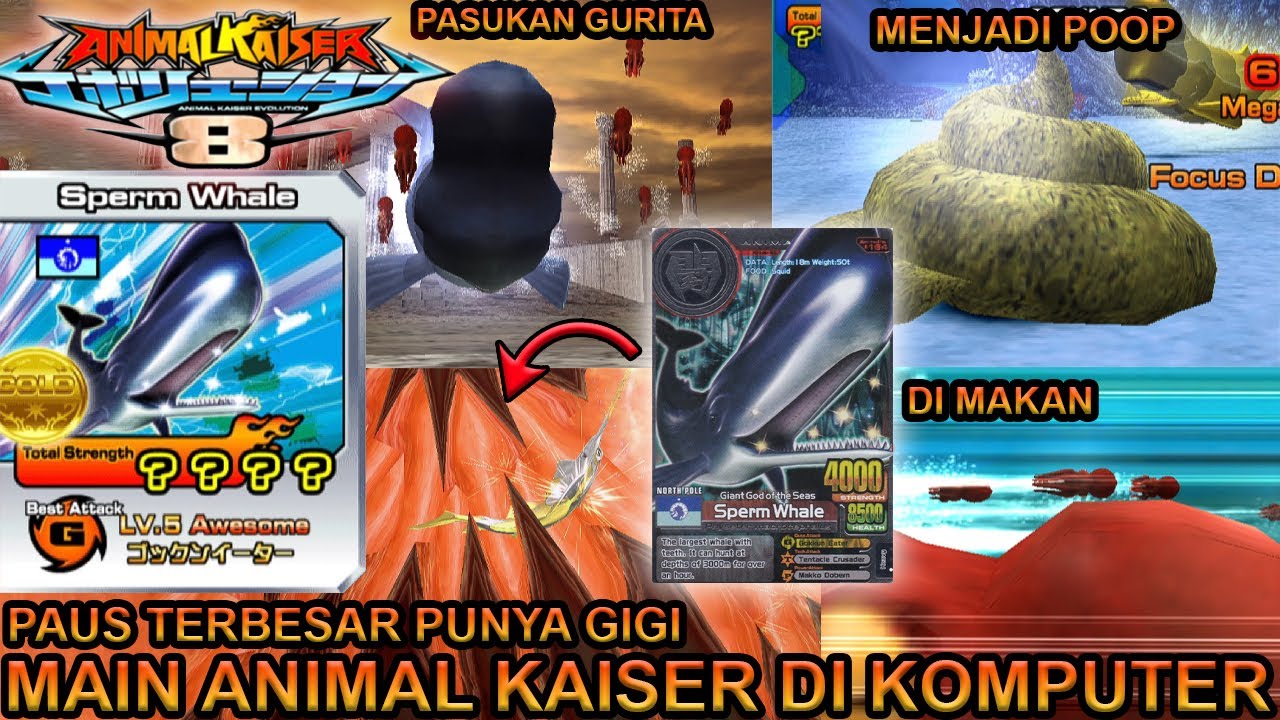 SPERM WHALE PAUS TERBESAR DENGAN GIGI DI KOMPUTER !!! - ANIMAL KAISER EVOLUTION PC