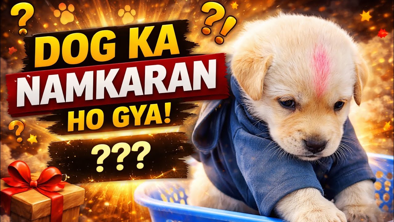 Day 35 - Dog ka naamkaran ho gaya 🐶✨ | Finally family ka naya member! ❤️