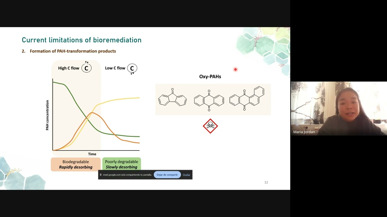 Webinar 7 grupo BBB Maria Jordan