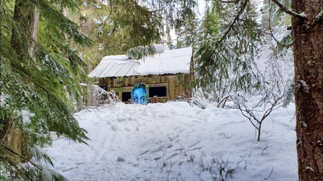 Ghost Town Found Deep in the Woods