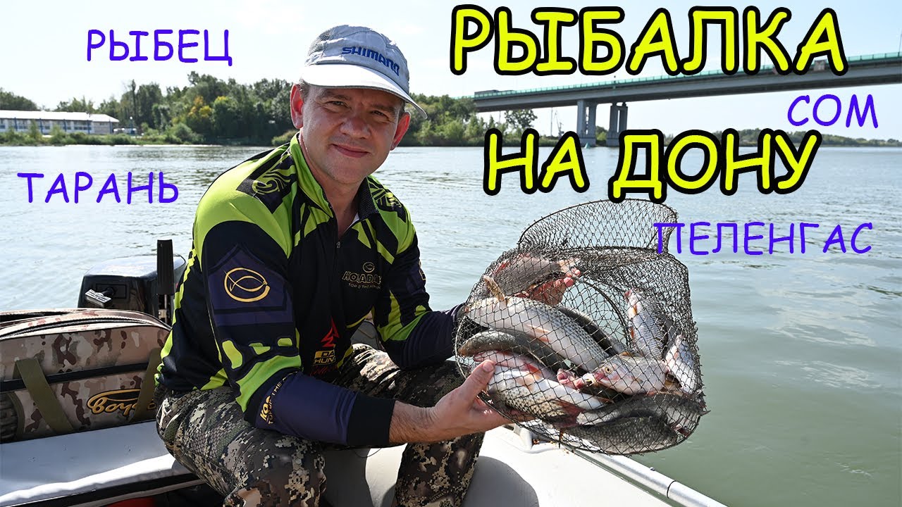 РЫБАЛКА НА ДОНУ. ПЕЛЕНГАС. РЫБЕЦ. СОМ. ТАРАНЬ. ЛАСКИРЬ.