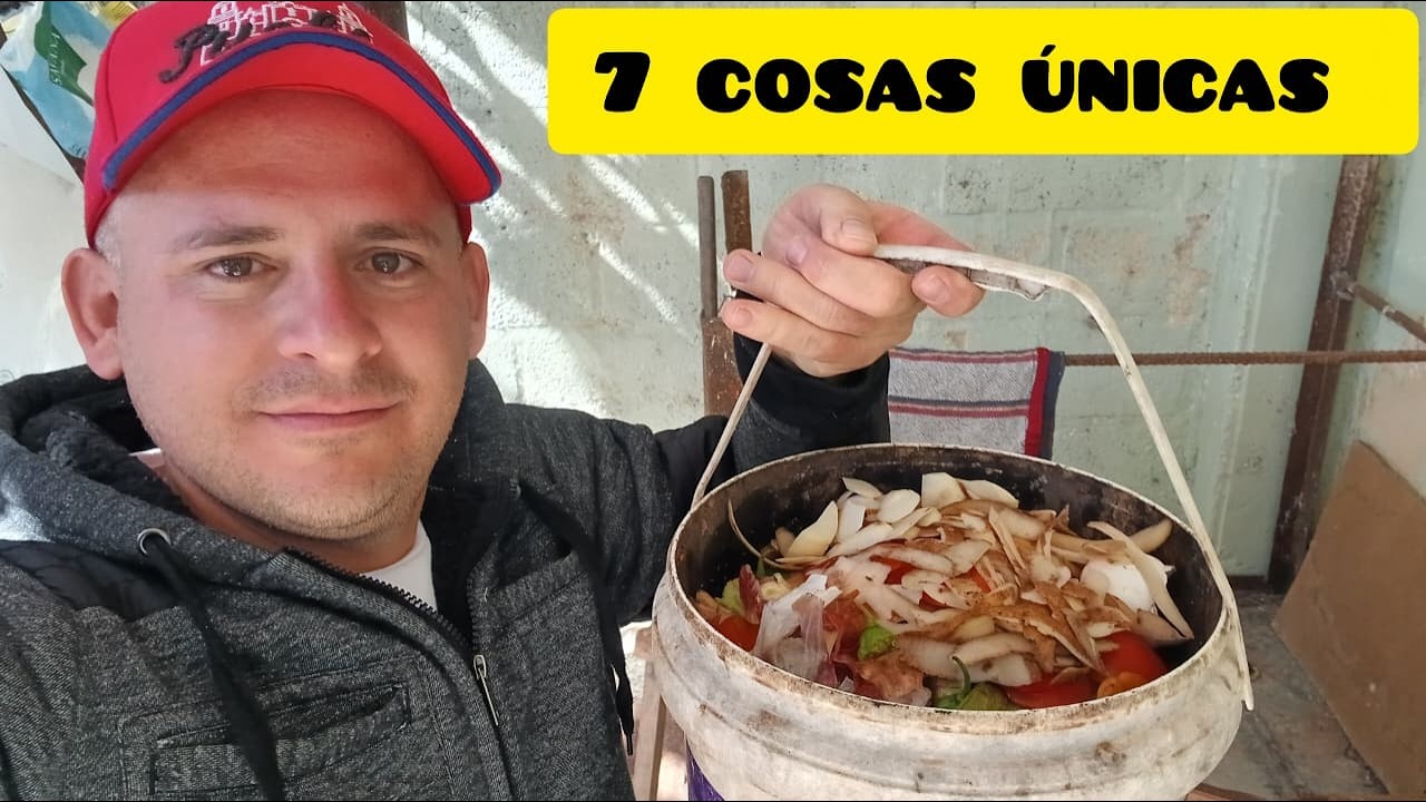 Siete COSAS ÚNICAS que nos dicen que estamos en casa de un cubano. Así se vive en Cuba.