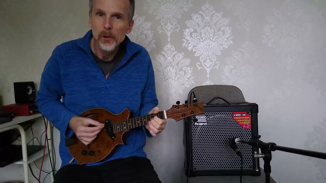 New electric 5 string mandolin demo