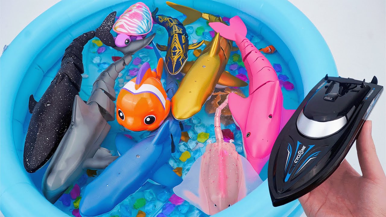 Toy ASMR 🐋🐠 Giant Robo Sharks & RC Racing Boat Playset ASMR Satisfying with Unboxing | Review toys