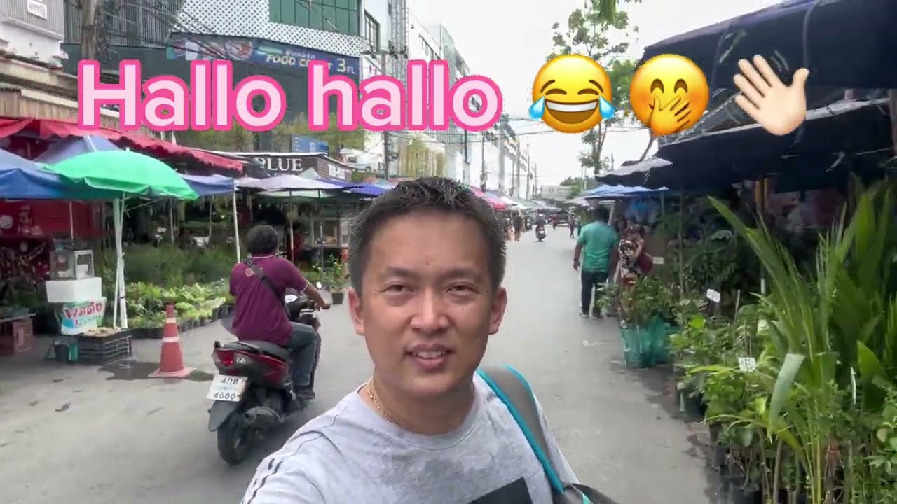 Zenith’s Chatuchak Plant Market Journey Bangkok