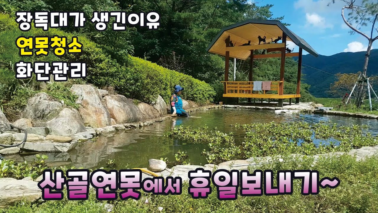 휴일은 산골 쉼터에서~ 장독대 이야기/ 연못청소/ 화단가꾸기 산골영상일기