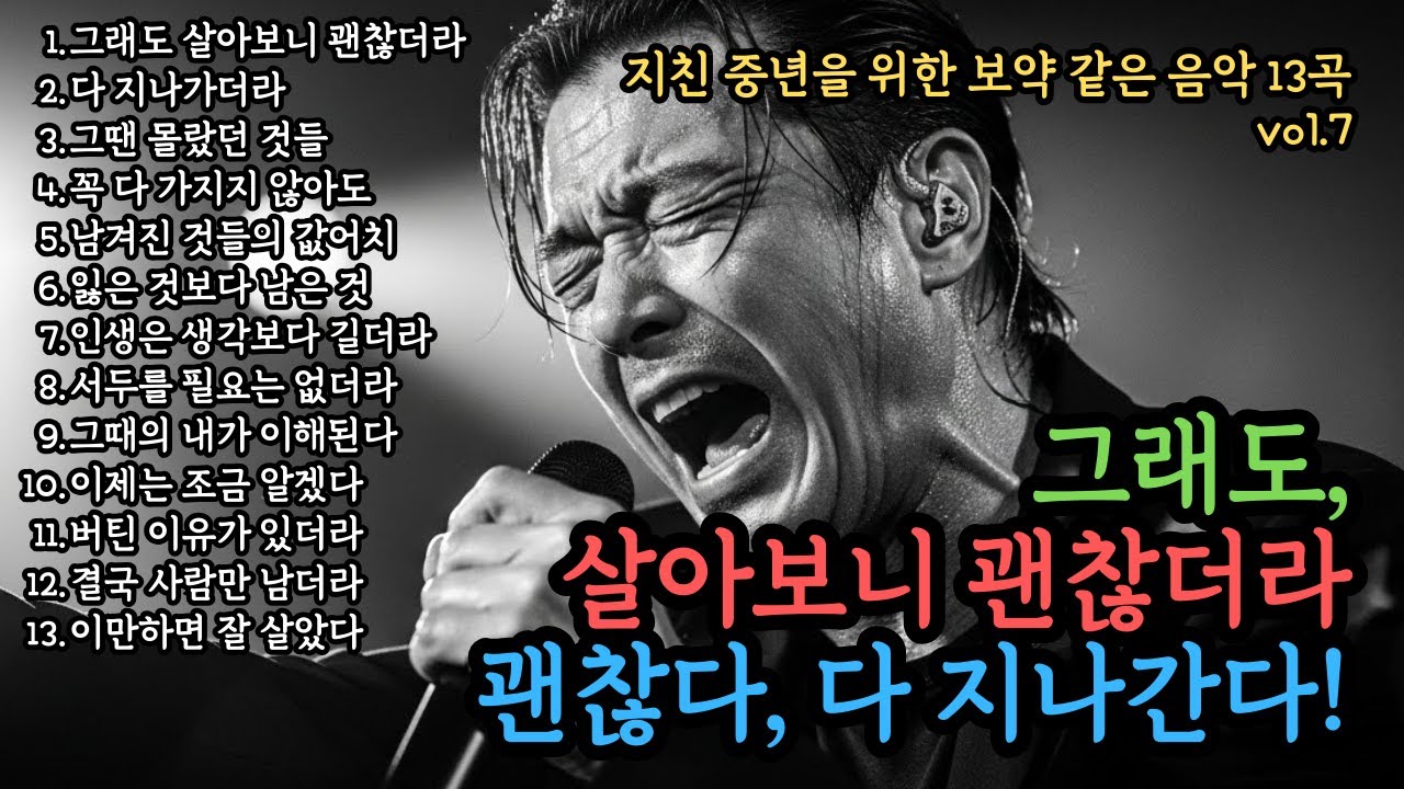 🌙지친 중년을 조용히 안아주는 위로곡✨ 오늘도 힘들었지? 그래도, 살아보니 괜찮더라! 괜찮다, 다 지나간다!🎵중년감성 13곡🎵
