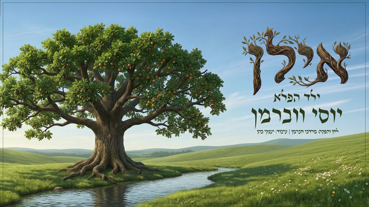 אילן - יוסי ווברמן | Ilan -  Yossi waberman