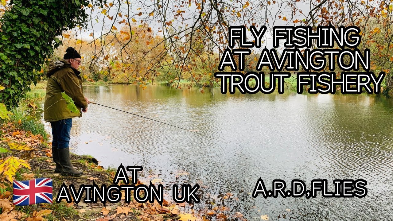 FLY FISHING AT AVINGTON TROUT FISHERY