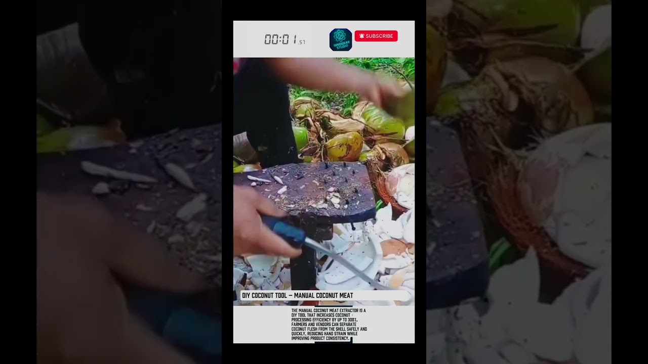 DIY Coconut Tool &ndash; Manual Coconut Meat Extractor Machine