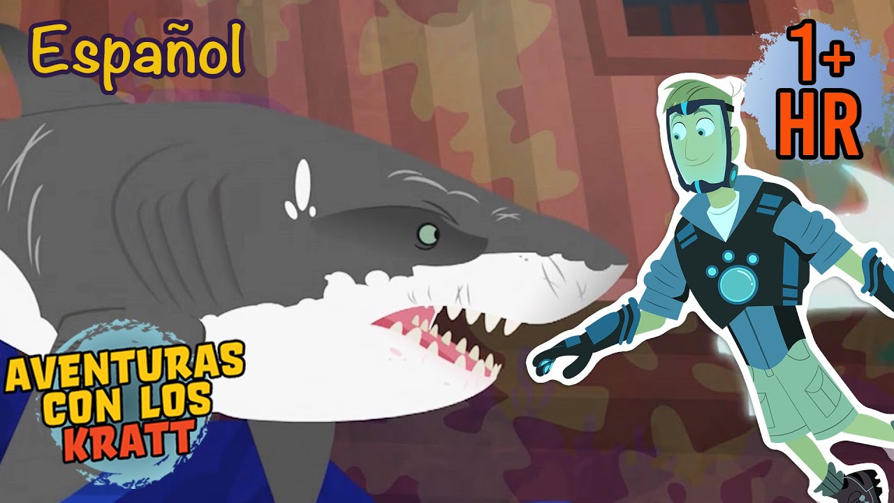 Lenguaje Secreto de los Delfines | Datos sobre Criaturas | Aventuras con los Kratt