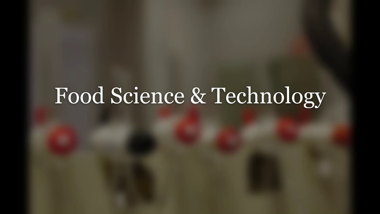 Food Desk