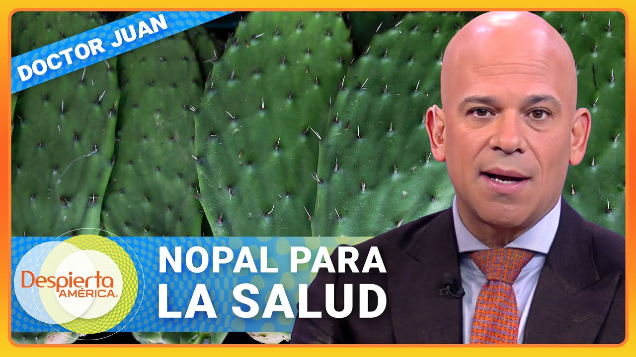 Los increíbles beneficios del nopal explicados por Dr. Juan | Despierta América