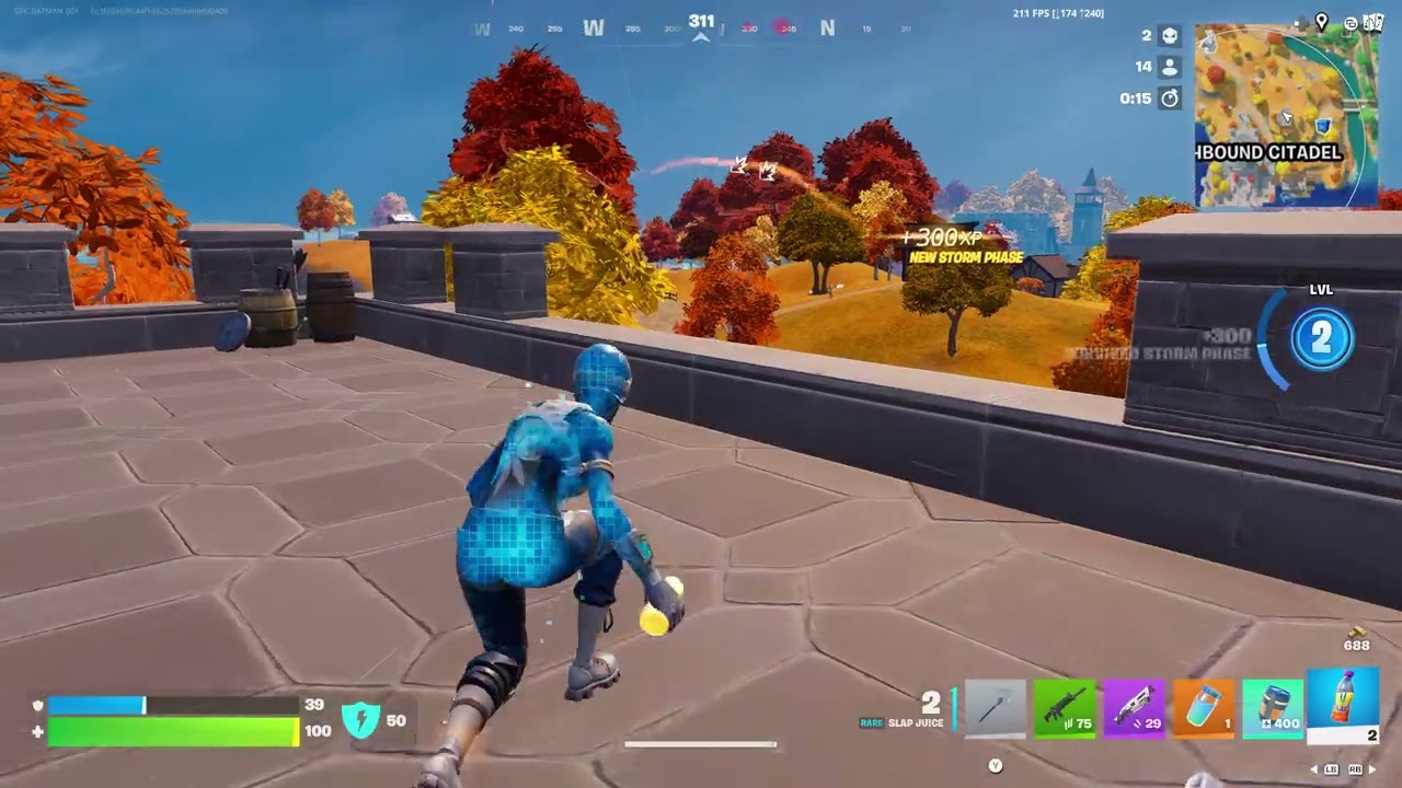 fortnite w
