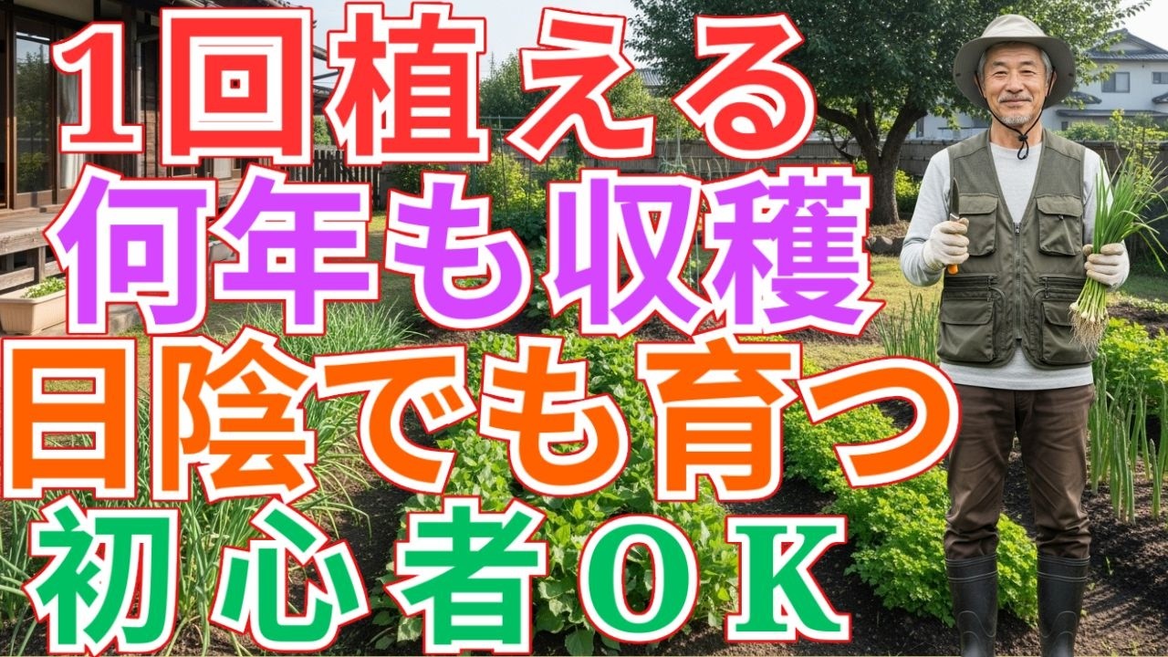 【99%人が勘違い】一度植えたら毎年勝手に生えてくる！日陰でも育つほったらかし最強野菜5選【初心者・プランターOK】家庭菜園初心者 / 日陰でも育つ野菜 / ほったらかし野菜
