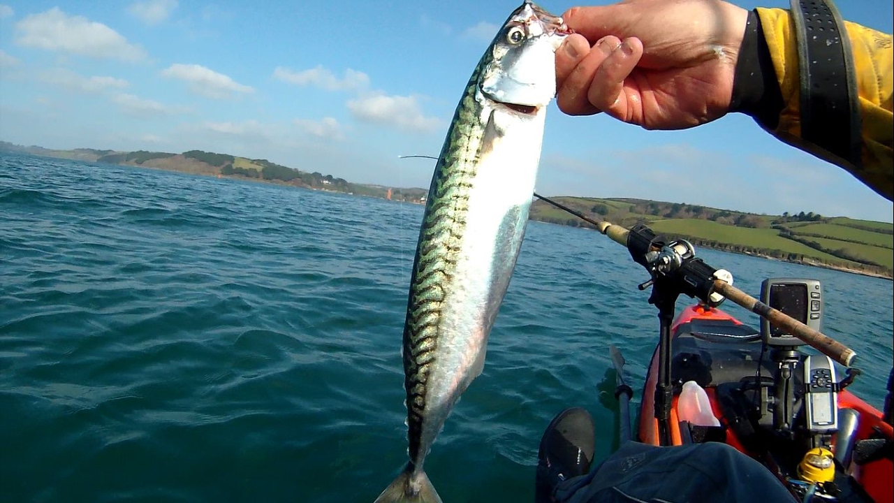 Kayak Fishing - Targeting Bigger Winter Mackerel With Jigs