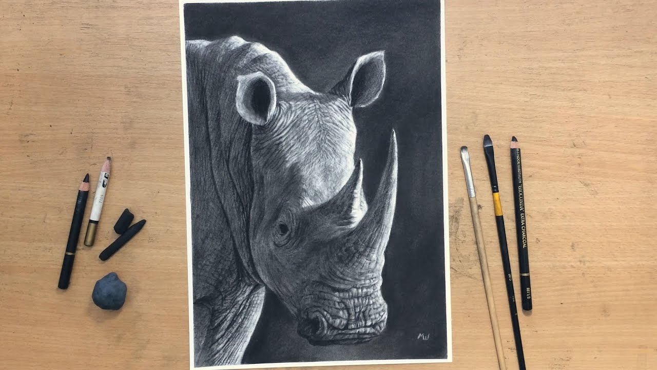 Charcoal Drawing of a Rhino