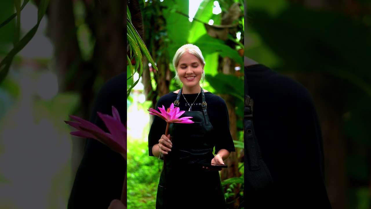 Gemiya Organics - farm Tour - Colombo - Sri Lanka