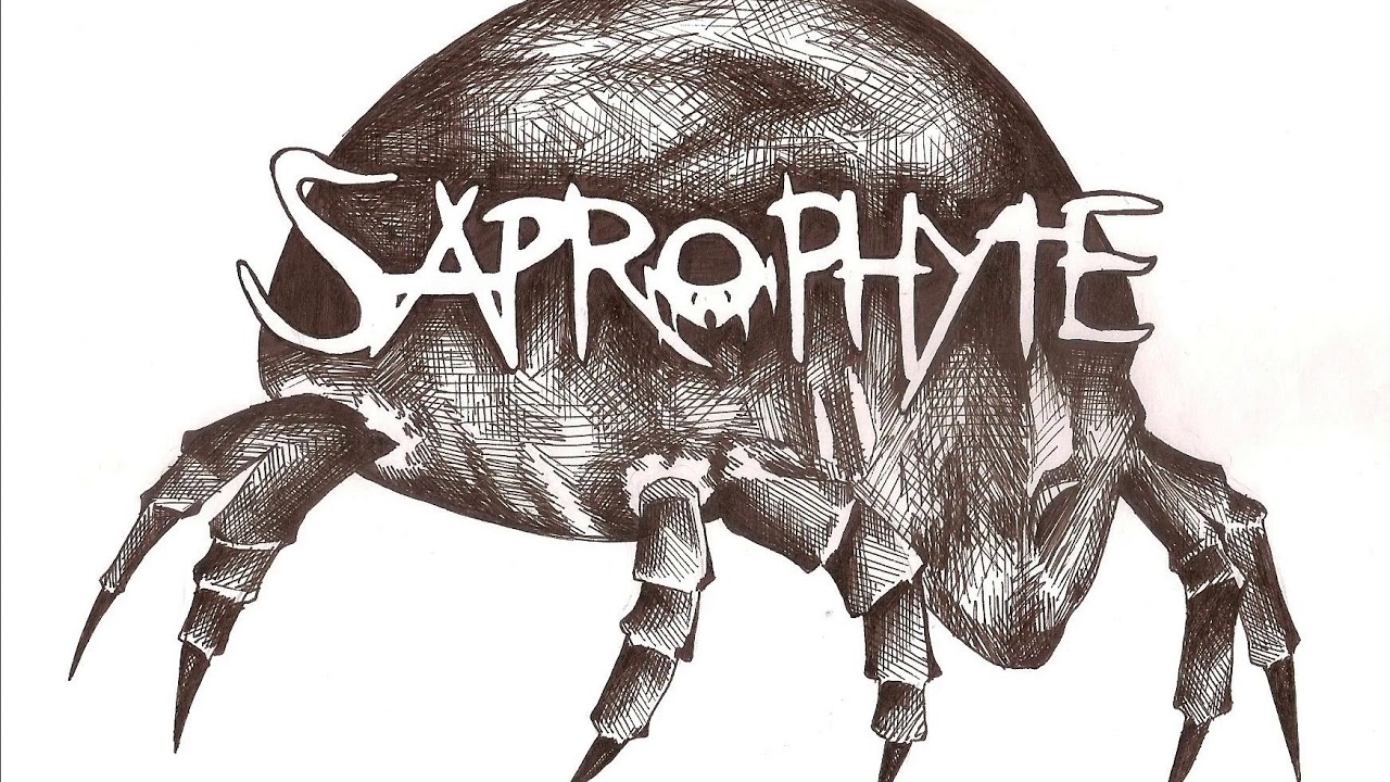 Saprophyte - Witraże Znaczeń (Remastered)