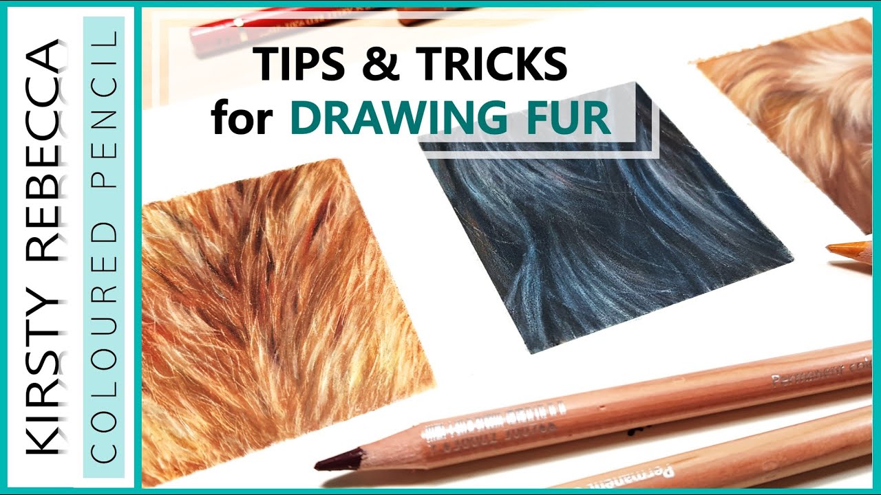 How to draw FUR in COLOURED PENCIL // Step by step tutorial!