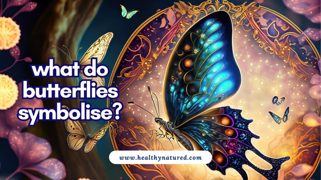 Butterfly Symbolism 🦋: Transformation & Spiritual Growth