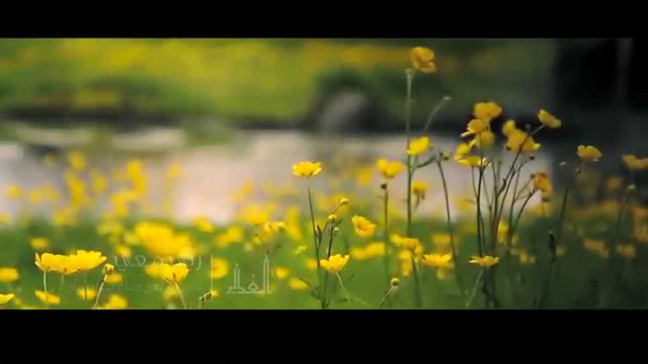 ربي معي | الشيخ حسين الأكرف