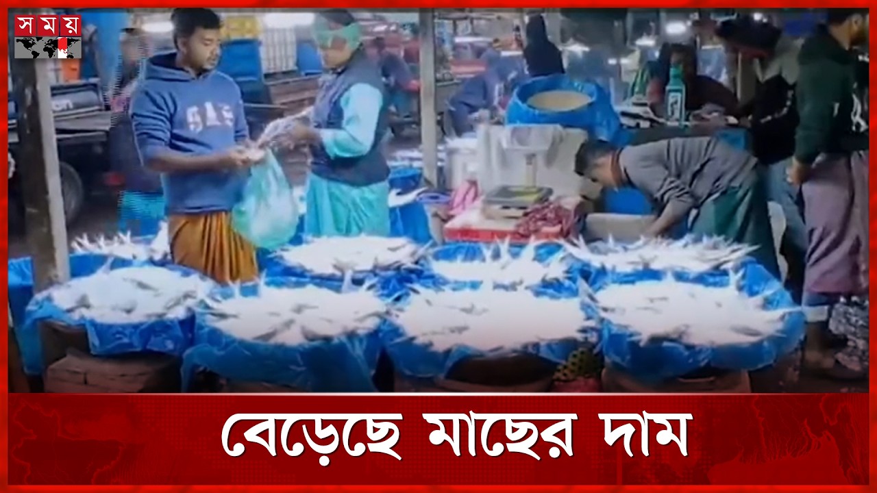 ঢাকার বৃহত্তর আড়তে কোন মাছের কত দাম? | Savar Fish Market | Fish Price | Somoy TV
