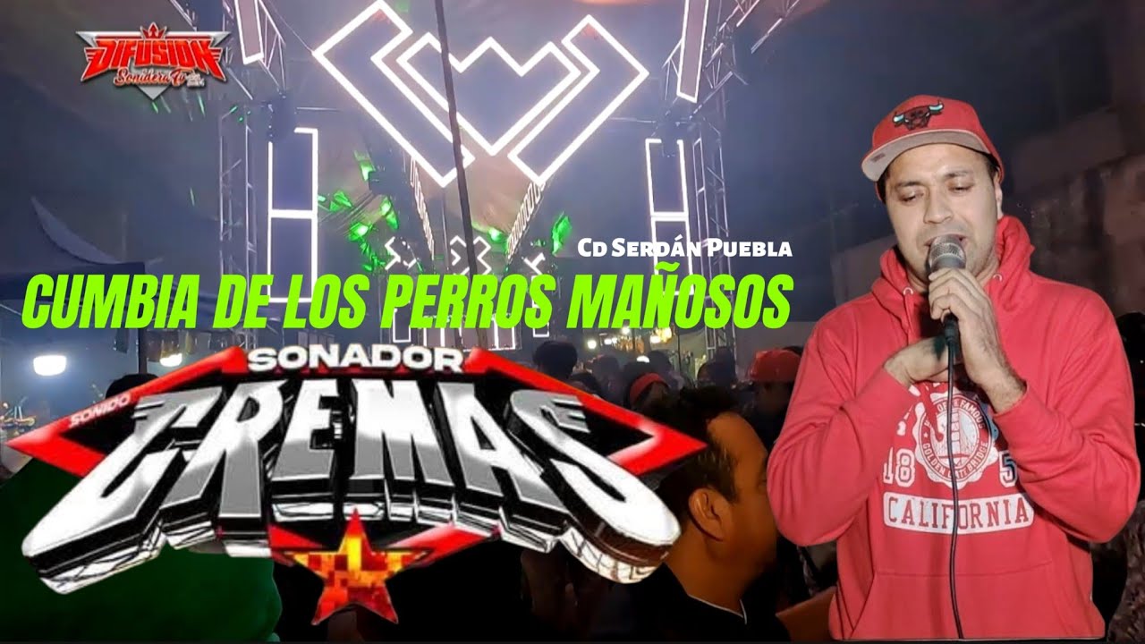 🔥La cumbia que le dedicaron al staff del sonido cremas - la cumbia de los perros mañosos - cd Serdán