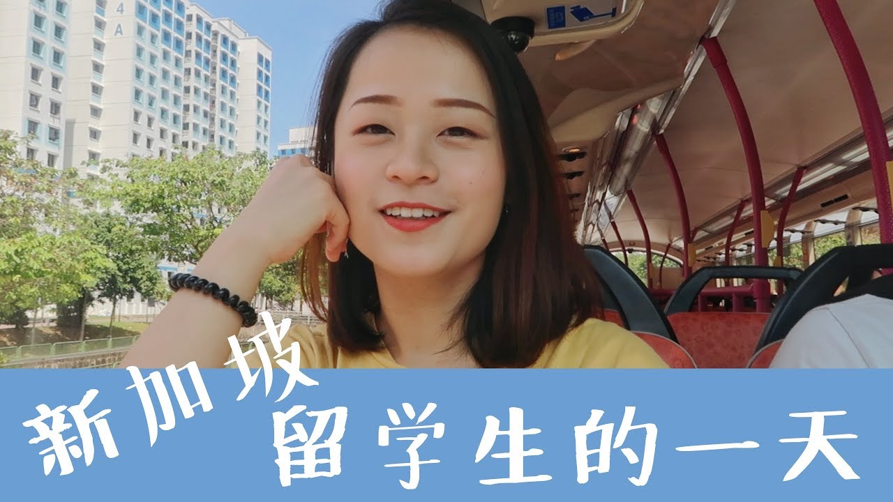 新加坡留学生的一天 VLOG | 打扫猪笼，上课，逛超市 | 南洋理工大学留学日常 | A day at NTU