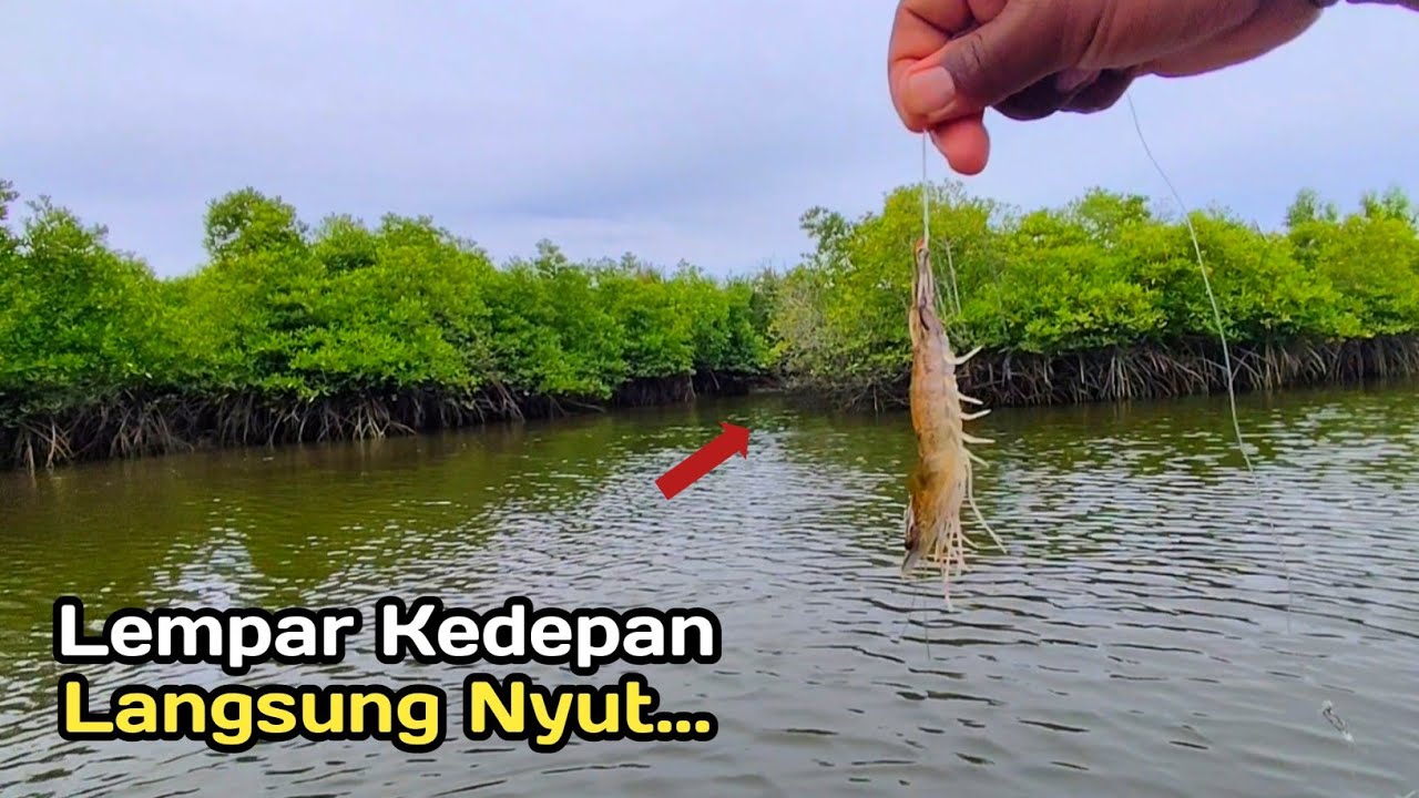 Lama Ngak Mancing di Spot ini, Ternyata Masih Bisa Strike Sepuasnya