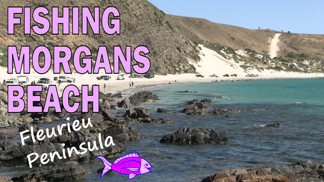 Morgans Beach Fishing: Salmon, Mullet, Garfish & Flathead Tips SA
