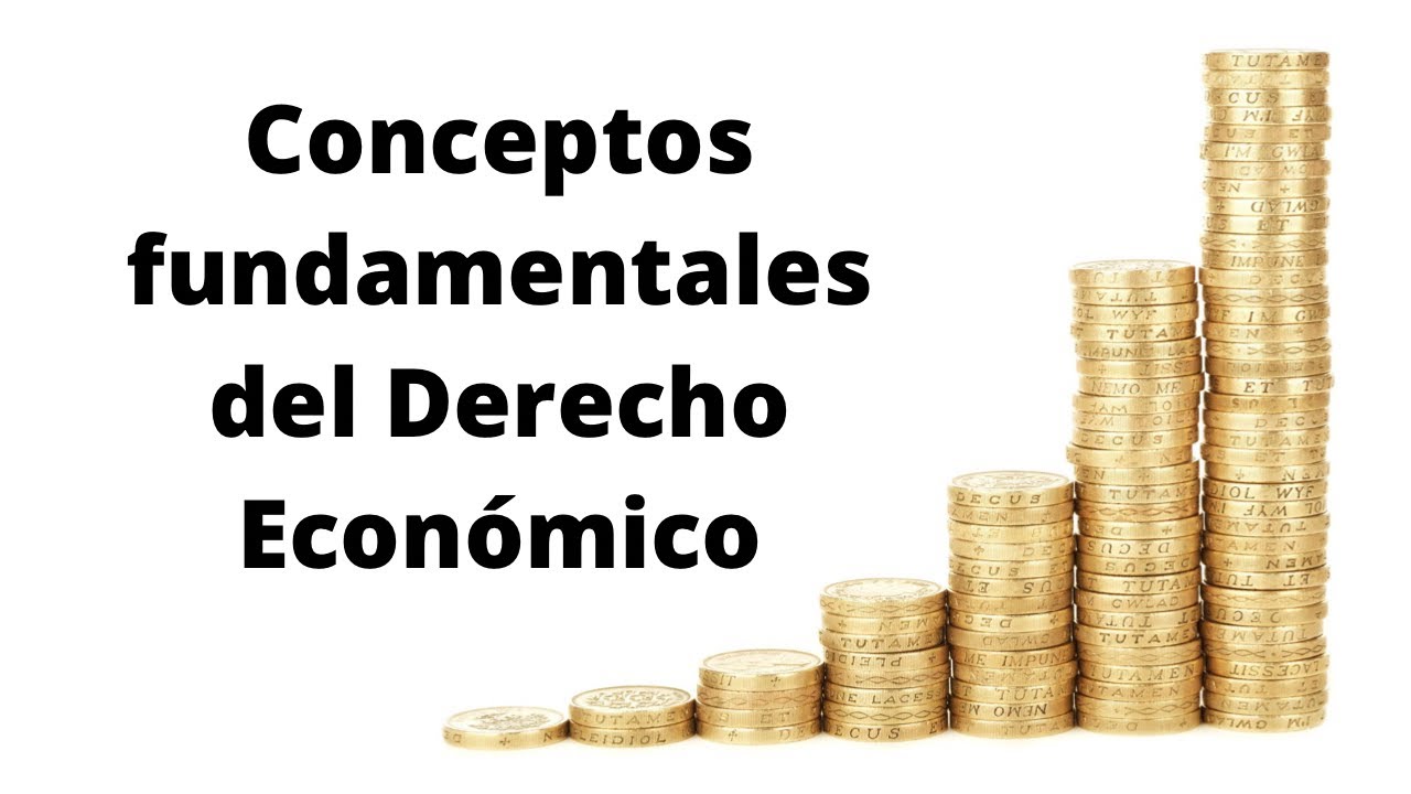 CONCEPTOS FUNDAMENTALES DEL DERECHO ECON&Oacute;MICO