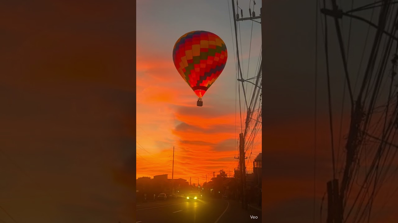 You won’t believe what flew past me while driving 