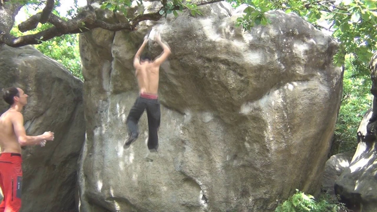 Fontainebleau - Le Carnage 7B - Cuvier (Bas) (FRA)