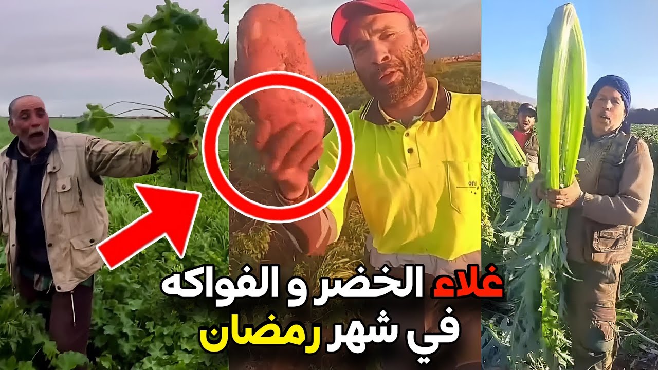 غلاء الخضر و الفواكه في شهر رمضان بالمغرب ‼️ مايمكنش على أثمنة 🔥 ربطة لكرافص ب 5 دراهم 😳