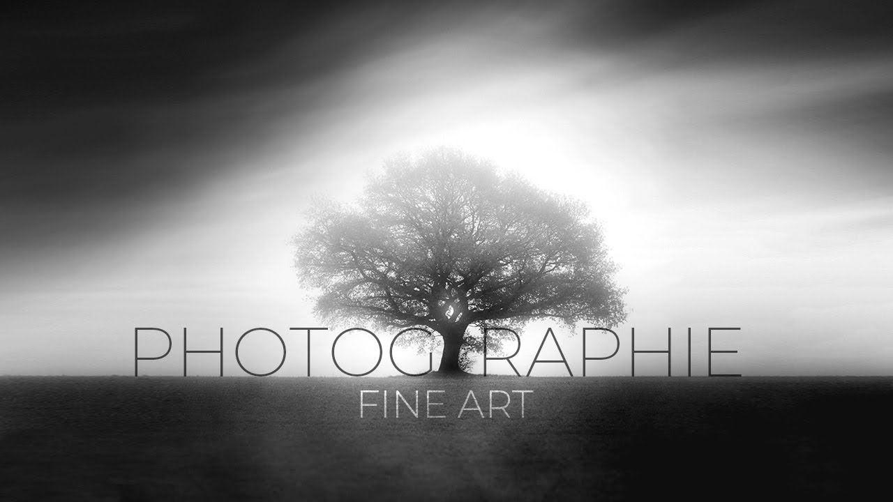 PHOTO PAYSAGE FINE ART - Le Chêne...et le gland !