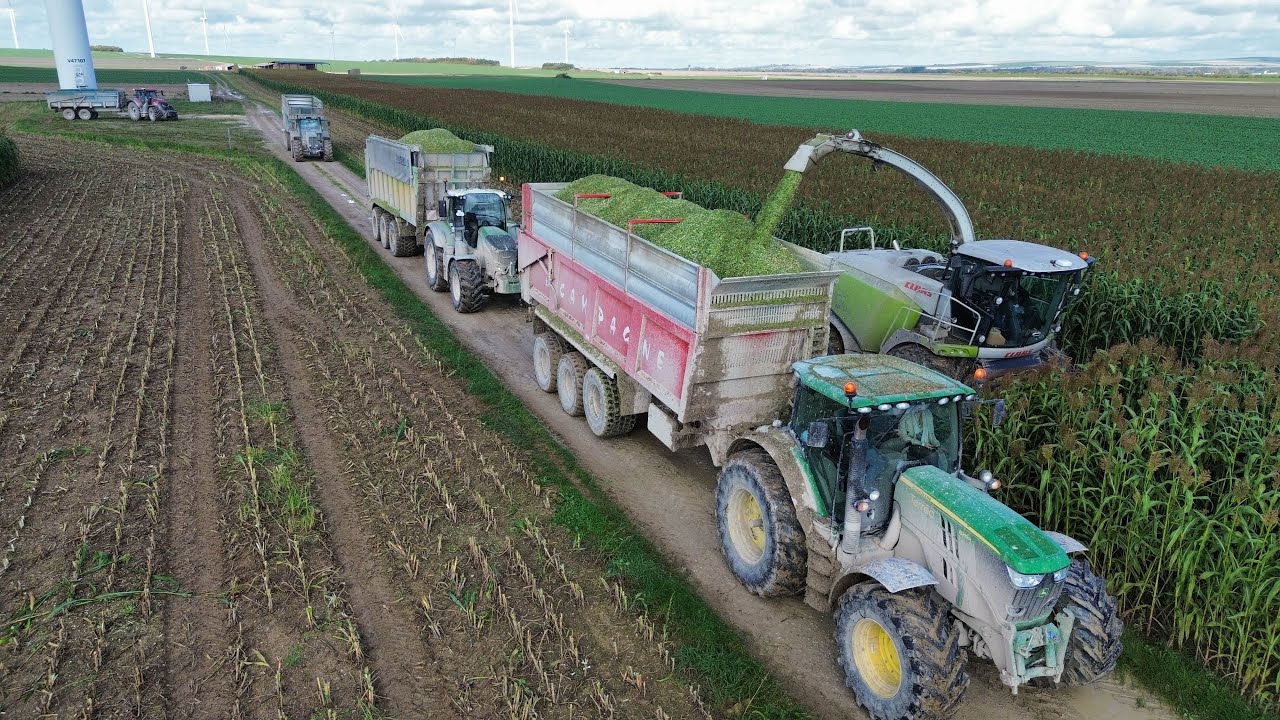 Ensilage XXL de Sorgho 🤩 // NOUVEAU FENDT 728 Joskin Drakkar neuf // + de 3000 chevaux r&eacute;unis