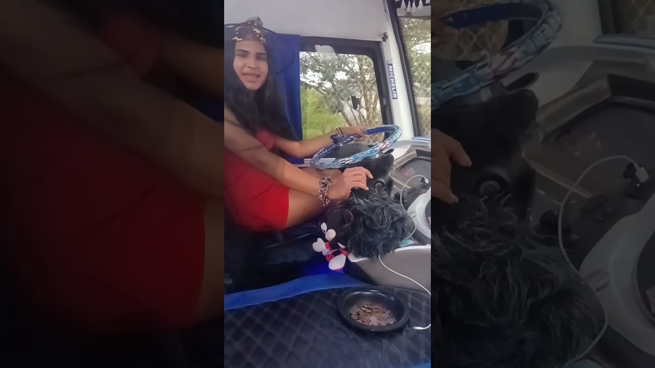 Conociendo La Transhemisfericos Mitad Del Mundo 11 Hino AK, Ecuacar | BFT LA TRANS DE LOS BUSES