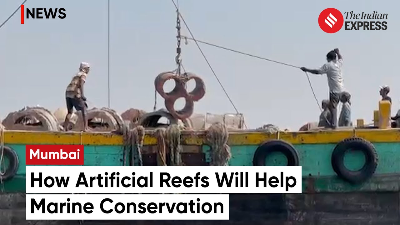 Mumbai Installs 210 Artificial Reefs In Arabian Sea, Pioneering Coastal Transformation