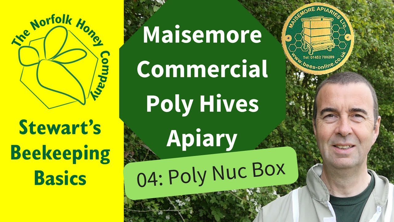 Maisemore Poly Nucleus Box