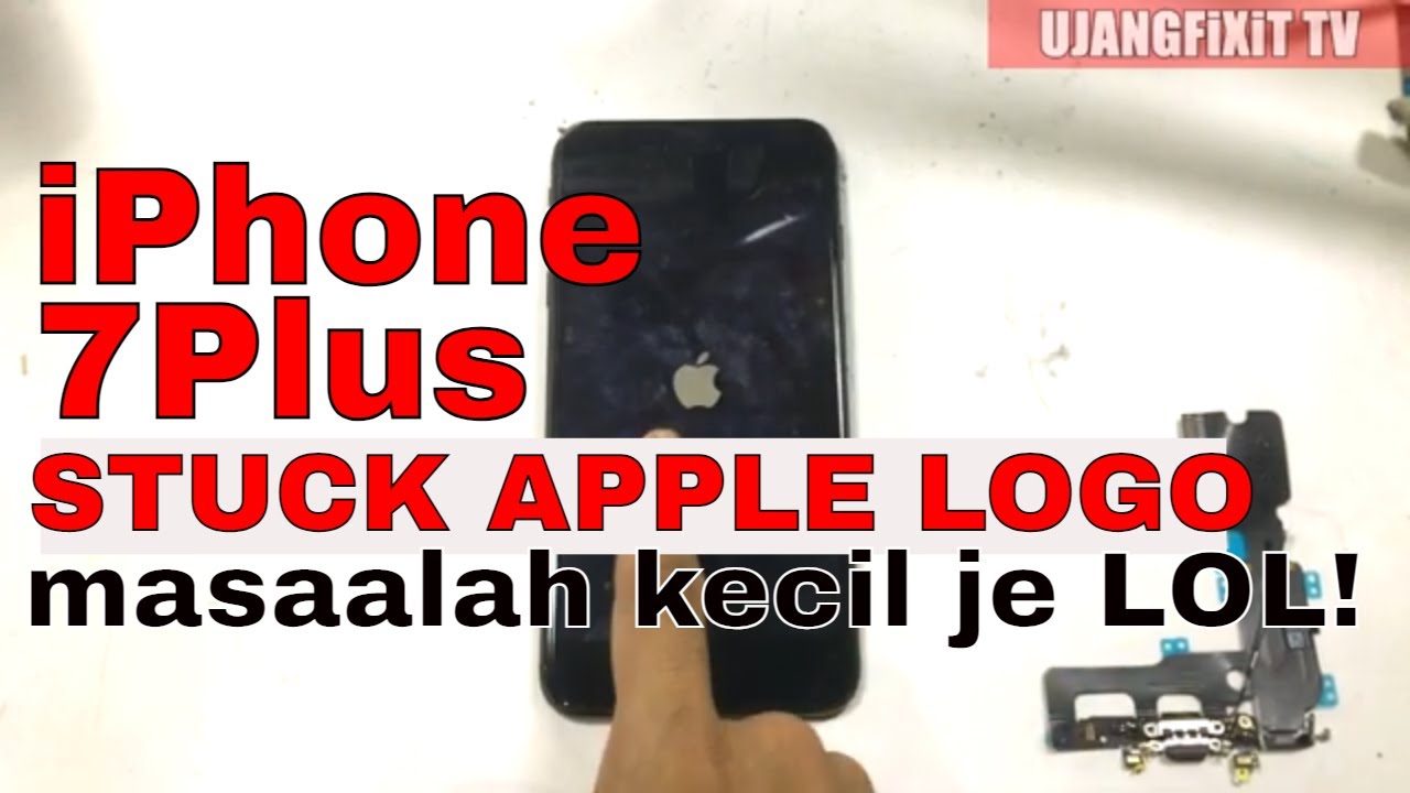 iphone 7 plus Keep Restart Apple logo / small problem 👌