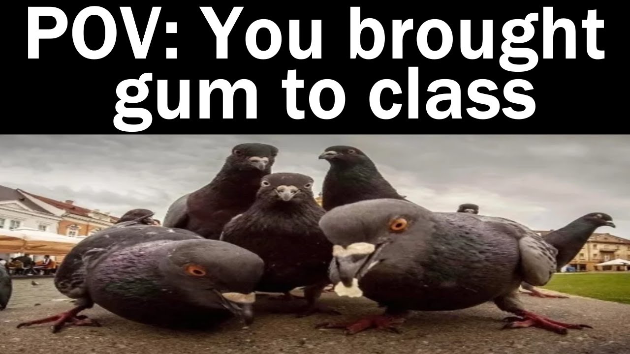 Nightly Juicy Memes 1192