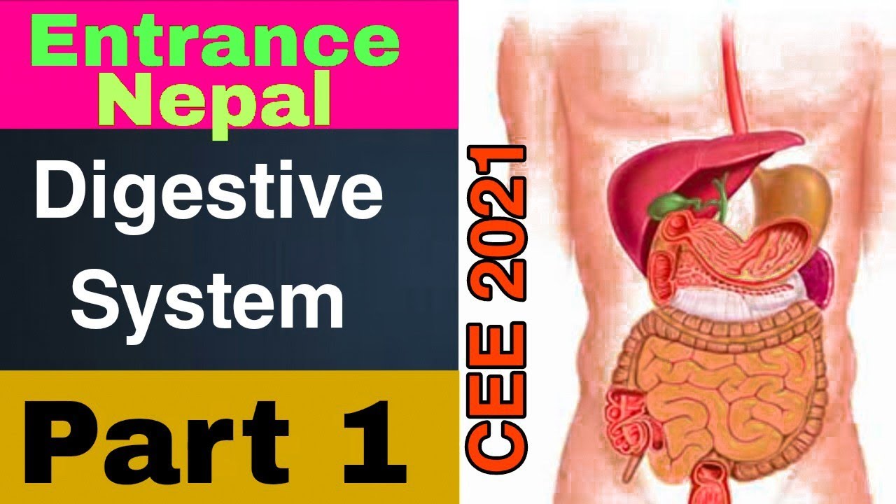 Important MCQs for CEE 2022 | Digestion and Absorption - 1 | For MBBS, BDS, BSc Nursing Entrance