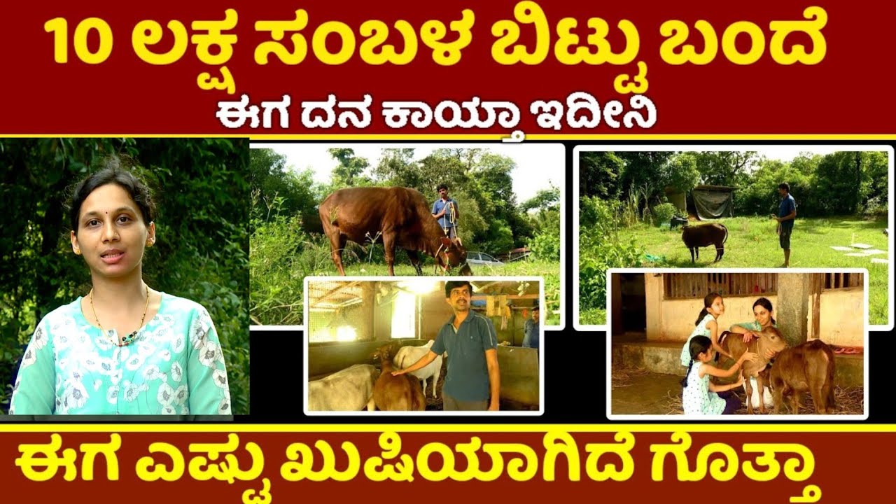 10 ಲಕ್ಷ ಸಂಬಳ ಬಿಟ್ಟು ಬಂದೆ ಈಗ ದನ ಕಾಯ್ತಾ ಇದೀನಿ | Former success story